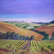 Tuscany Vineyard